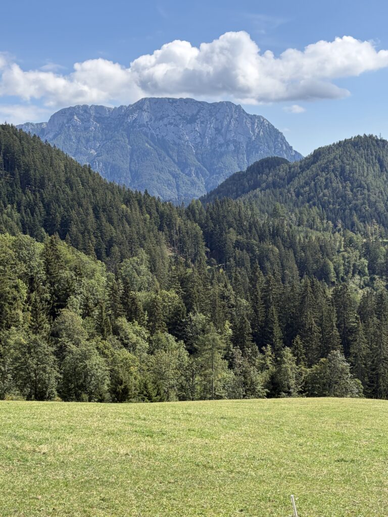 Blick auf die bewaldeten Berge entlang der Solčava-Panorama-Straße
