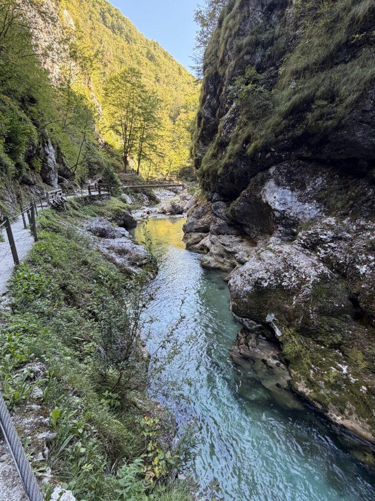Türkisfarbenes Wasser zwischen den Felswänden der Tolminer Klamm