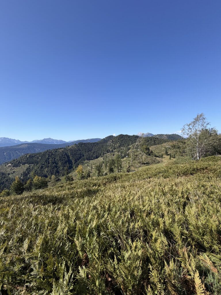 Berglandschaft entlang der Autozugstrecke durch Slowenien