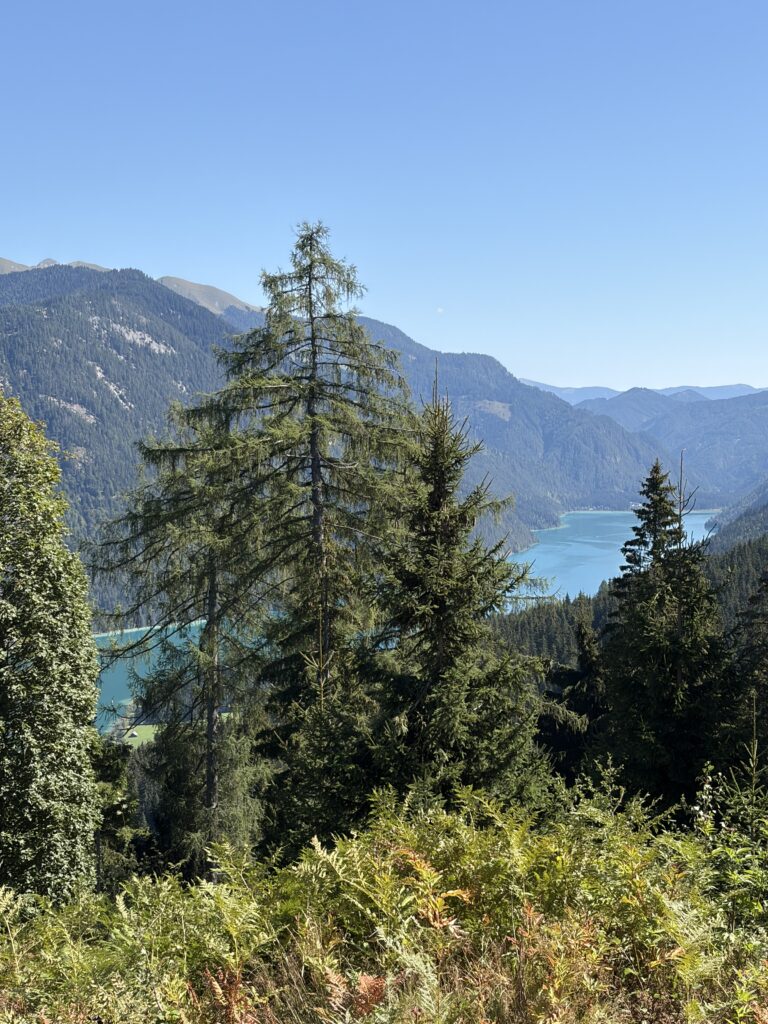 Blick von der Bergwanderung auf den Weissensee